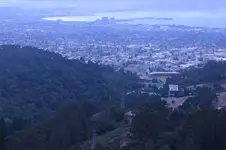 flourescent color balance foggy.webp