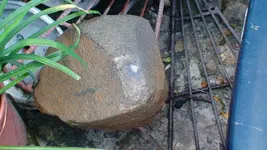DSC01112ADRY.webp