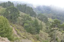 foggyhill2.webp