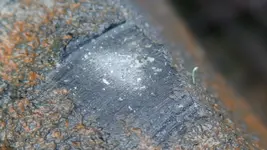 DSC01116ADRY.webp