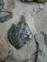 creek 090813 047.webp