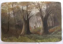 Oak 1 Sized.webp