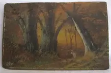 Oak 2 Sized.webp