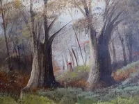 Oak 3 Sized.webp
