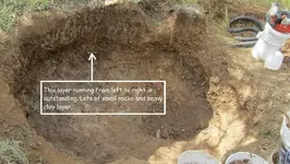 Dirt.webp