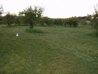 big coil tryout 008.webp