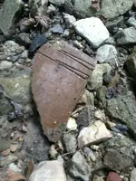 creek 090813 032.webp