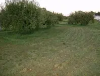 big coil tryout 009.webp
