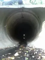creek 090813 017.webp