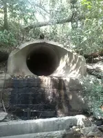 creek 090813 014.webp