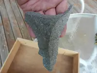 DSCN0432.webp