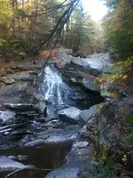 image-2577158489.webp