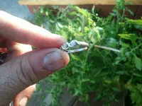 2013-09-04 19.14.19.webp