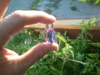 2013-09-04 19.14.44.webp
