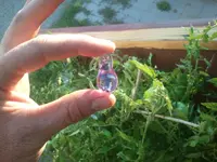 2013-09-04 19.14.55.webp