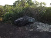 turtlerock1.webp