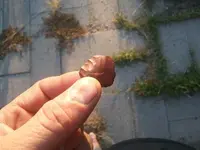 2013-09-04 19.07.44.webp