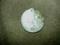 image-4120428469.webp