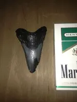 image-1587636210.webp