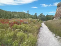 100_0171.webp