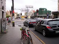 dogdriver.webp