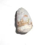 DSCN2069.webp