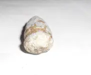 DSCN2070.webp