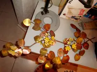 DSC04834.webp