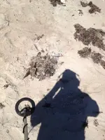 image-2420361103.webp