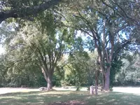 ForumRunner_20130909_235628.webp