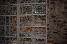Winnigan-056.webp