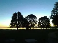 1380279014362.webp