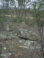 100_2873.webp