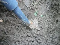 100_2878.webp