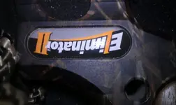 bow 004.webp