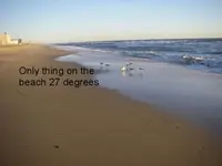 Cold day at the beach.webp