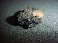 070311_coal.webp