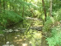 DSC00144.webp