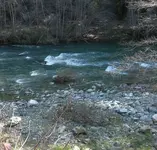 raging creek.webp