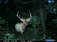 Ft.Simmons 6.webp