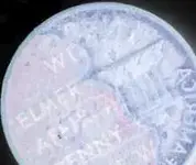 penny1.webp