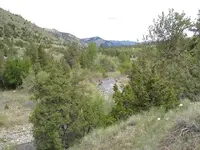 IMG_0452-640.webp