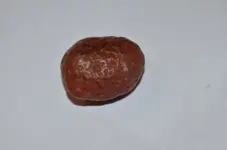 morze spodnie kolorowe 049.webp