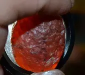 morze spodnie kolorowe 048.webp