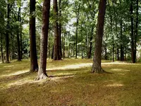 DSCF0015.webp