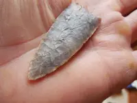 DSCN3424.webp