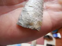 DSCN3425.webp