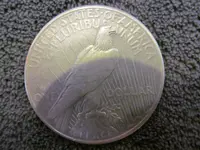 Liberty Reverse.webp
