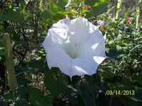 100_2428.webp