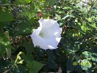 100_2427.webp